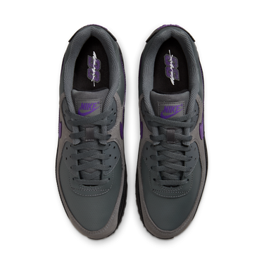 Nike Air Max 90 Iron Grey Wild Grape