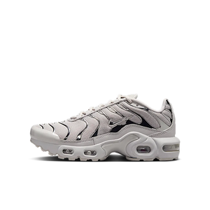 Nike Air Max Plus Light Iron Ore Gym Red Smoke Grey Metallic Silver