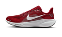 Nike Air Zoom Pegasus 41 Arizona Cardinals (2025)