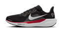 Nike Air Zoom Pegasus 41 Atlanta Falcons (2025)