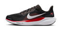 Nike Air Zoom Pegasus 41 Tampa Bay Buccaneers (2025)