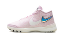 Nike Zoom LeBron NXXT Genisus Pink Foam Sail (Translucent Outsole)