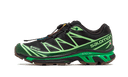 Salomon Advanced XT-6 Gore-Tex Eden Green Ash