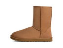 UGG Classic Short Boot Chestnut