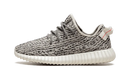 Yeezy Boost 350 V1 Turtle Dove