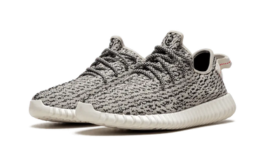 Yeezy Boost 350 V1 Turtle Dove Next Step