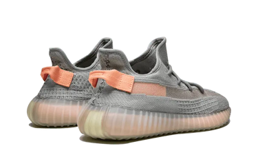 Yeezy Boost 350 V2 Trfrm Next Step