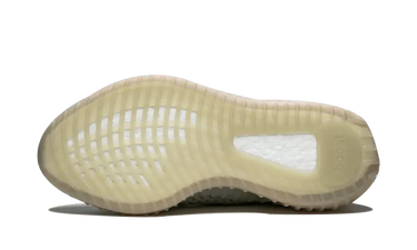Yeezy Boost 350 V2 Trfrm Next Step