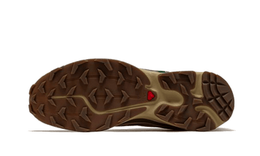Salomon XT-6 Rubber Lizard
