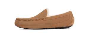 UGG Ascot Slipper Chestnut