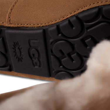 UGG Ascot Slipper Chestnut Next Step